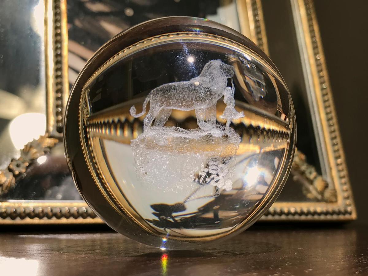 Lion * Munich