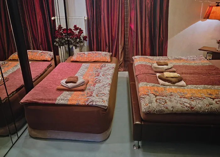 Lion Homestay Munich