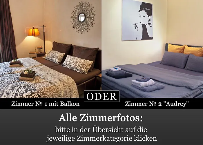 Lion Homestay Munich